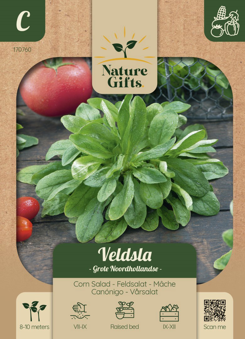 Veldsla Hollandse Breedblad groentenzaad Nature Gifts Baltus - Baltus