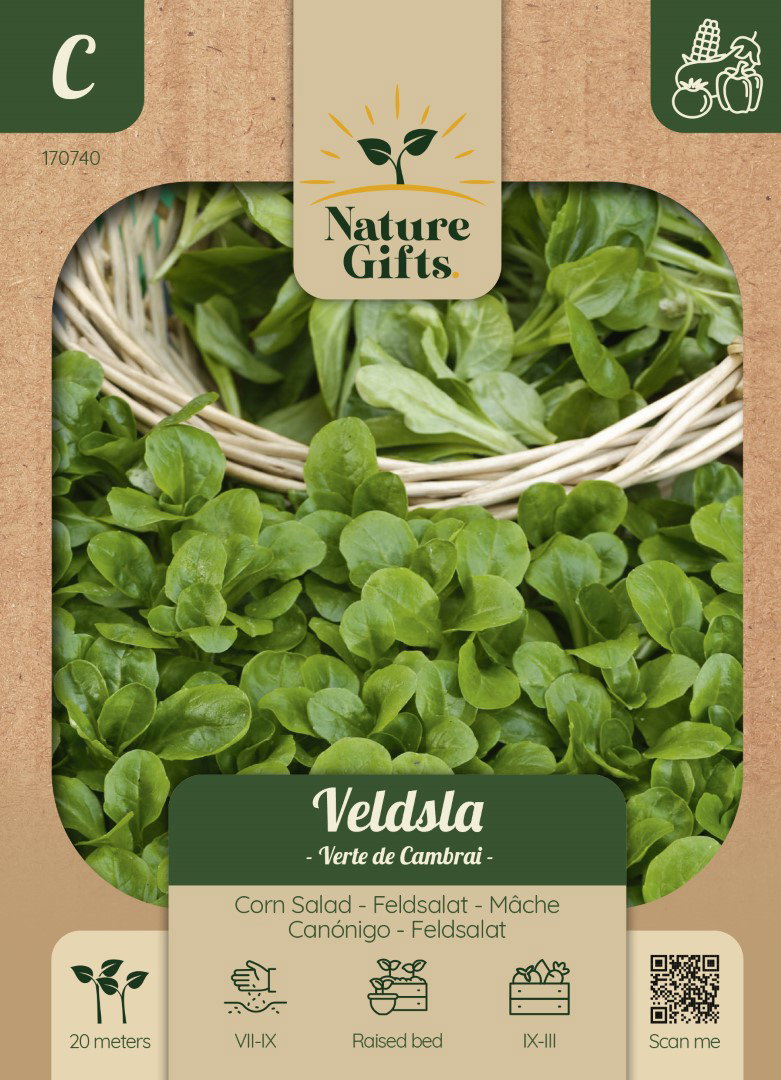 Veldsla Verte de Cambrai groentenzaad Nature Gifts Baltus - Baltus