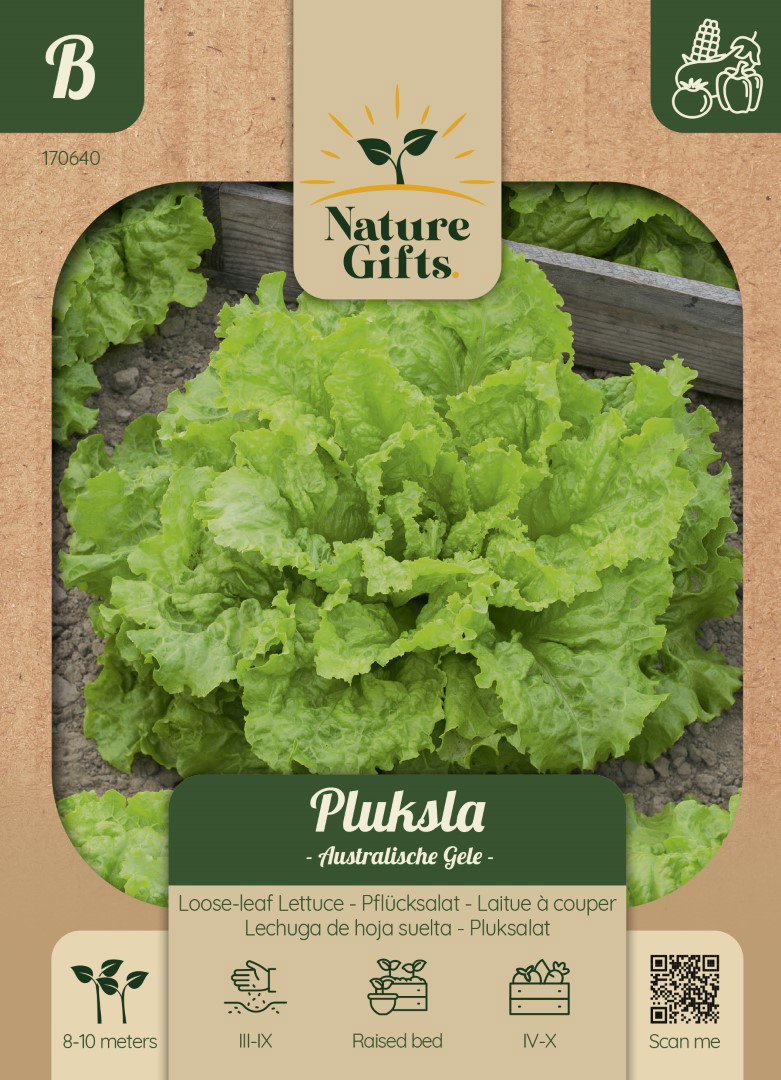 Pluksla Australische Gele groentenzaad Nature Gifts Baltus - Baltus