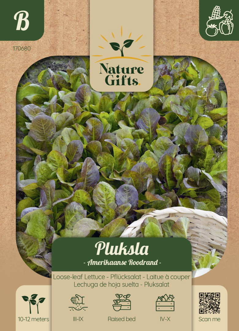 Pluksla Amerikaanse Roodrand groentenzaad Nature Gifts Baltus - Baltus