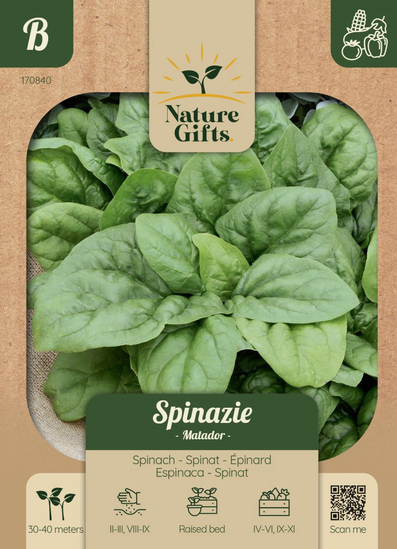 Spinazie Matador groentenzaad Nature Gifts Baltus - Baltus