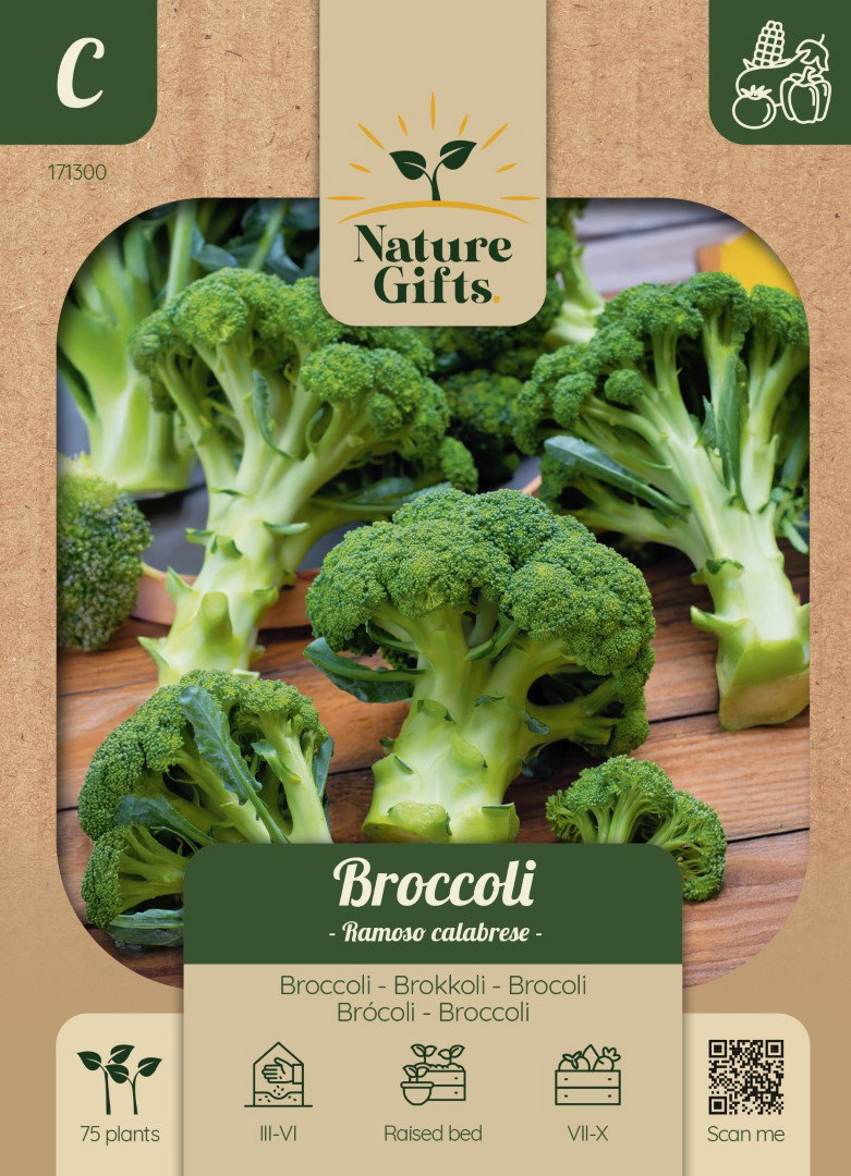 Broccoli Ramoso Calabrese groentenzaad Nature Gifts Baltus - Baltus