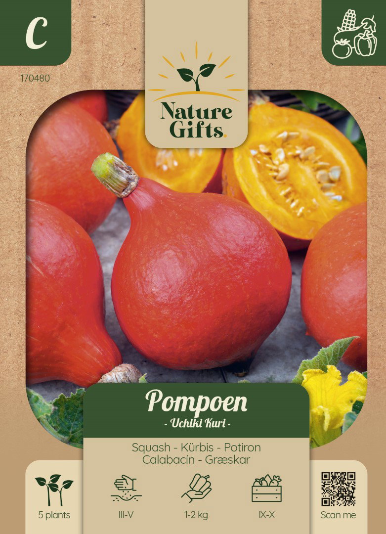 Pompoen Uchiki Kuri groentenzaad Nature Gifts Baltus - Baltus