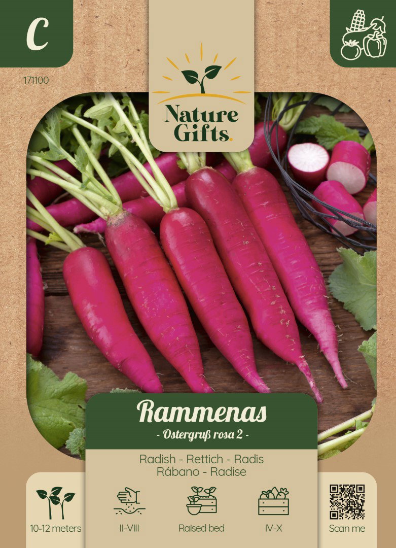 Rammenas Ostergruss rosa 2 groentenzaad Nature Gifts Baltus - Baltus