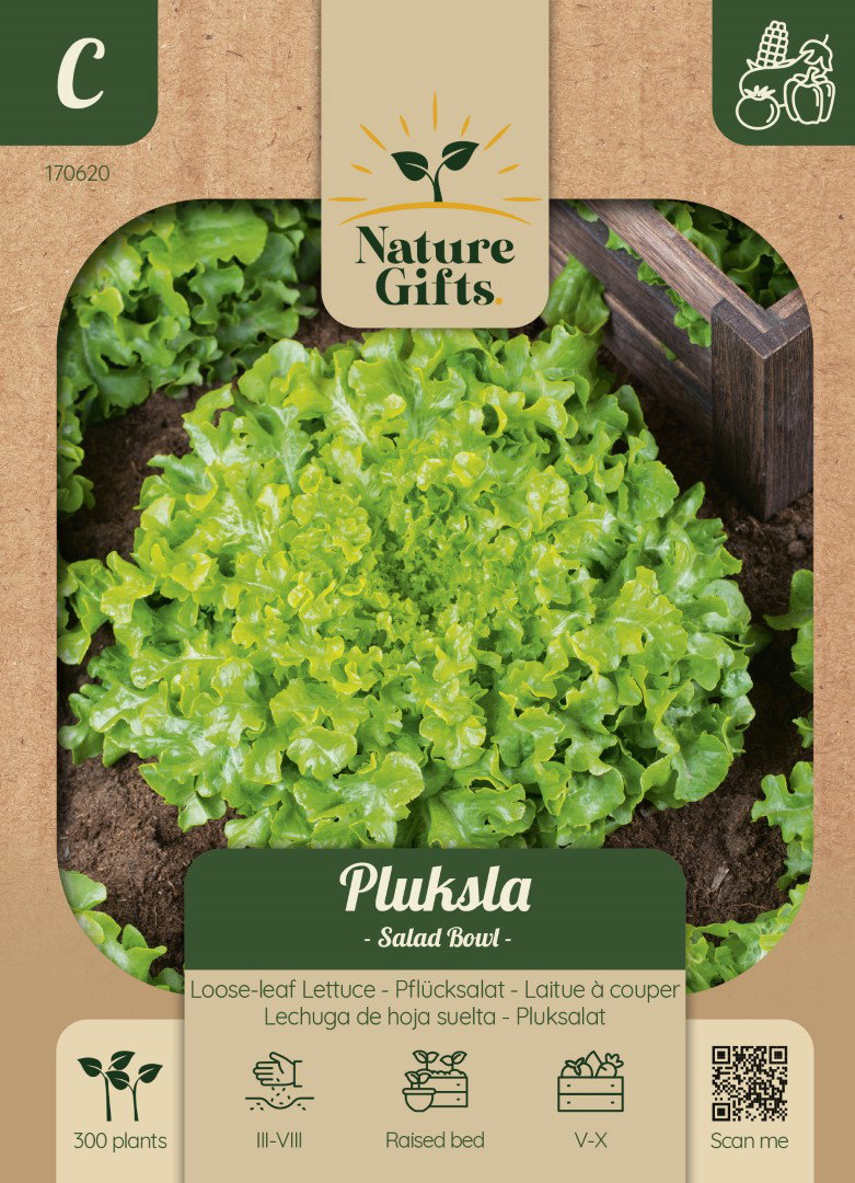 Pluksla Salad Bowl (snijsla) groentenzaad Nature Gifts Baltus - Baltus