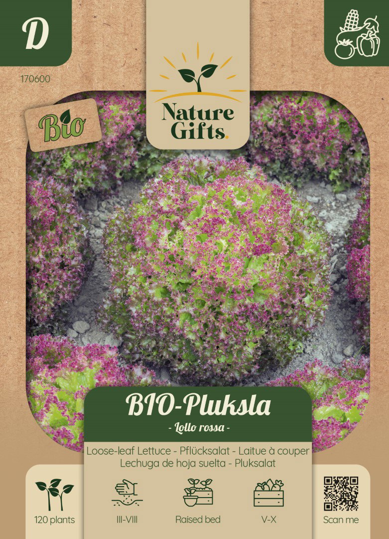 BIO Pluksla Lollo Rossa groentenzaad Nature Gifts Baltus - Baltus