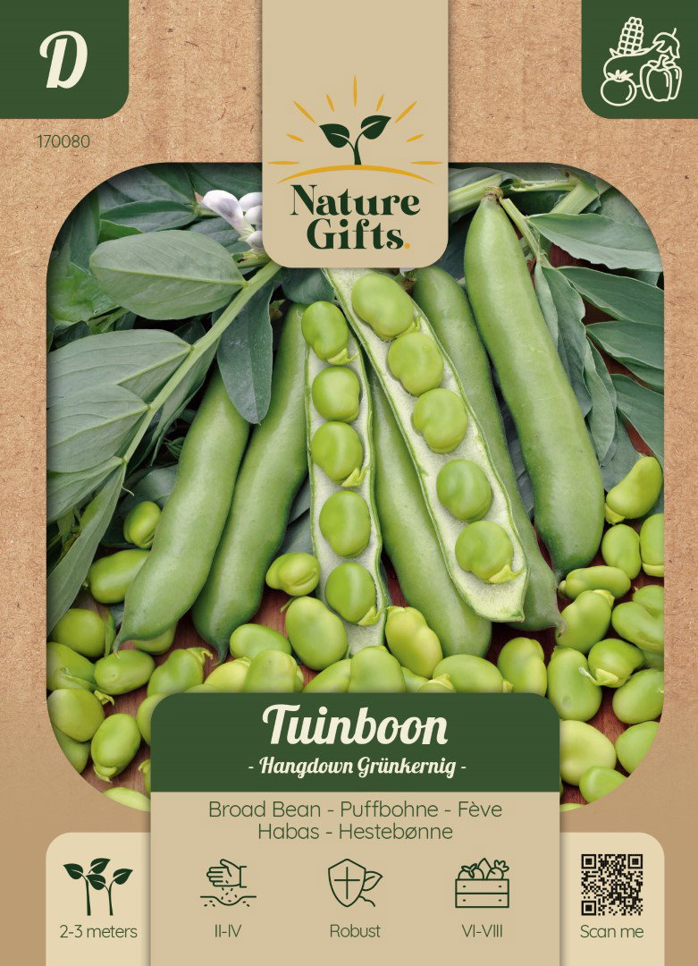 Tuinboon Hangdown Groenkernig groentenzaad Nature Gifts Baltus - Baltus