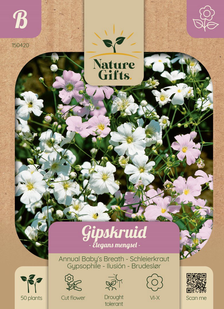 Gipskruid Elegans mengsel bloemenzaad Nature Gifts Baltus - Baltus