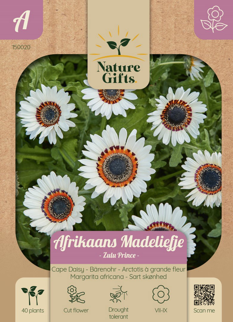 Afrikaans Madeliefje Zulu Prince bloemenzaad Nature Gifts Baltus - Baltus