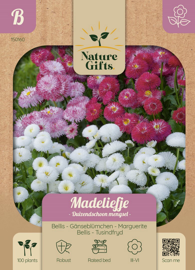 Madeliefje Duizendschoon mengsel bloemenzaad Nature Gifts Baltus - Baltus