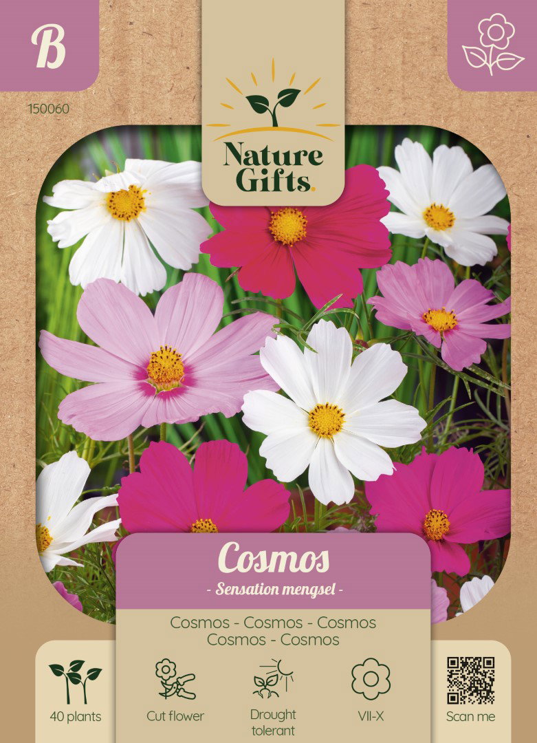 Cosmos Sensation mengsel bloemenzaad Nature Gifts Baltus - Baltus