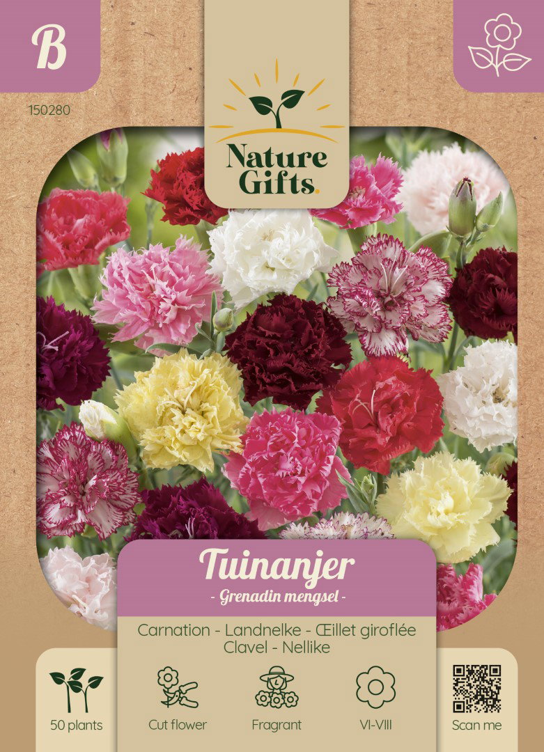 Tuinanjer Grenadin mengsel bloemenzaad Nature Gifts Baltus - Baltus