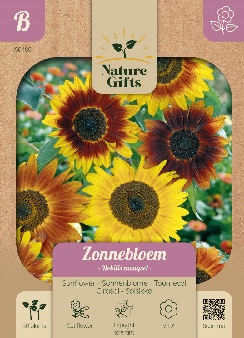 Zonnebloem Debilis mengsel bloemenzaad Nature Gifts Baltus - Baltus