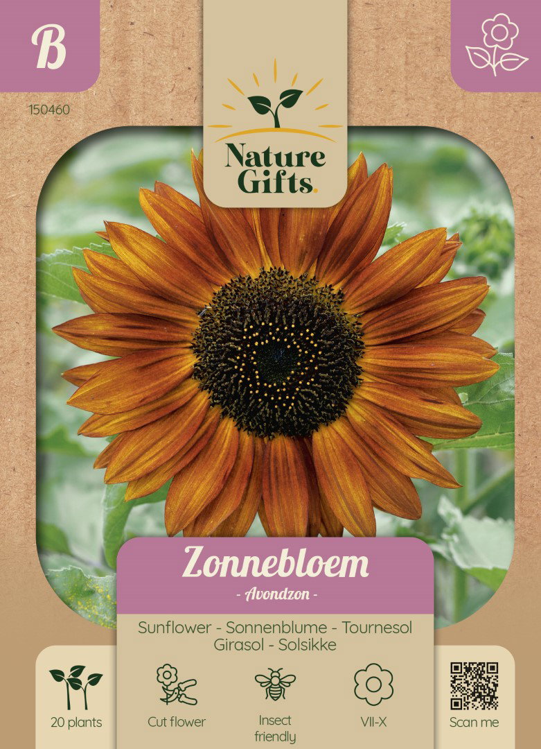 Zonnebloem Avondzon bloemenzaad Nature Gifts Baltus - Baltus