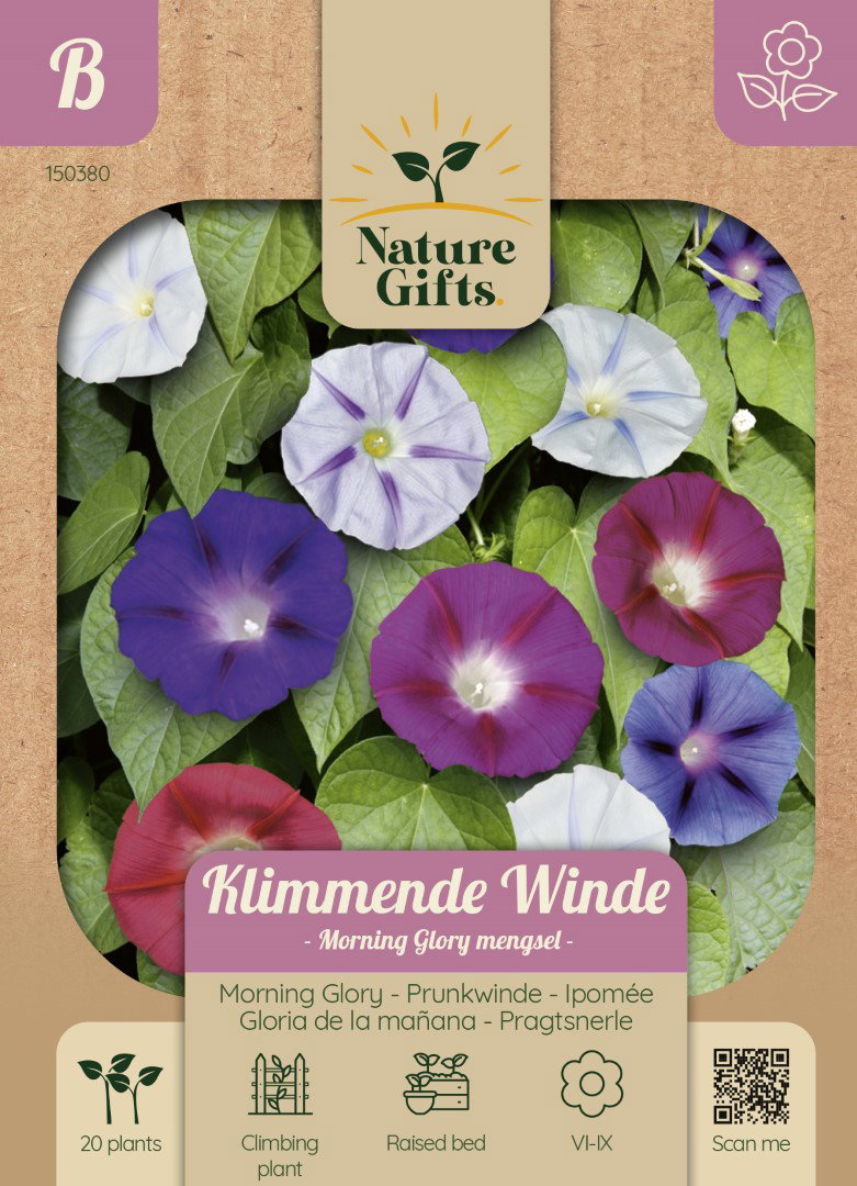 Klimmende Winde Morning Glory mengsel bloemenzaad Nature Gifts Baltus - Baltus