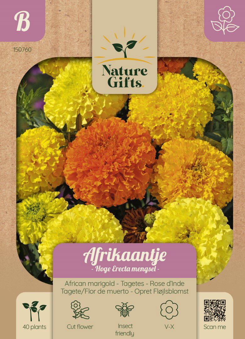 Afrikaantje Hoge Erecta mengsel bloemenzaad Nature Gifts Baltus - Baltus
