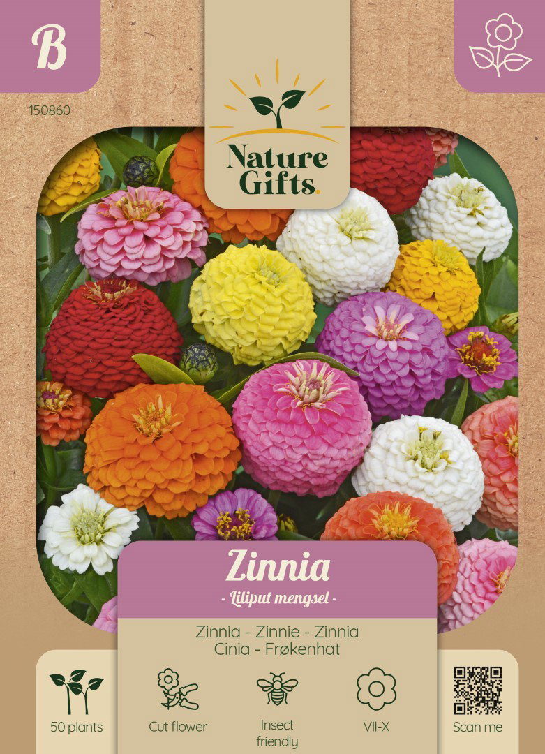 Zinnia Liliput mengsel bloemenzaad Nature Gifts Baltus - Baltus