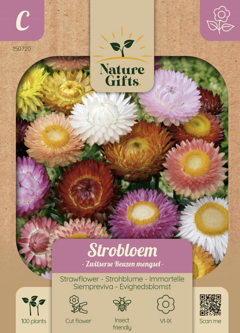 Strobloem Zwitserse Reuzen mengsel bloemenzaad Nature Gifts Baltus - Baltus