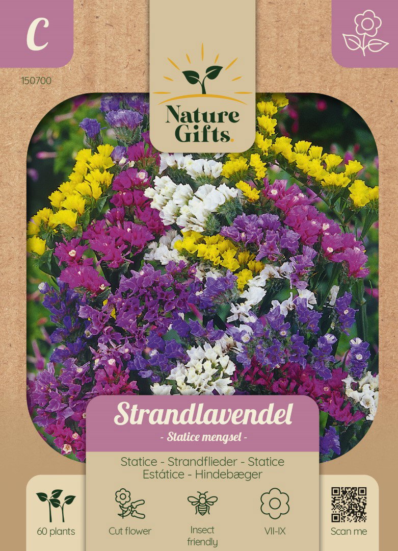 Lamsoor Statice mengsel bloemenzaad Nature Gifts Baltus - Baltus
