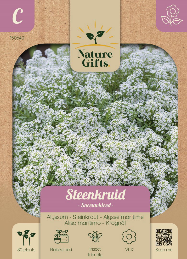Steenkruid Sneeuwtapijt bloemenzaad Nature Gifts Baltus - Baltus