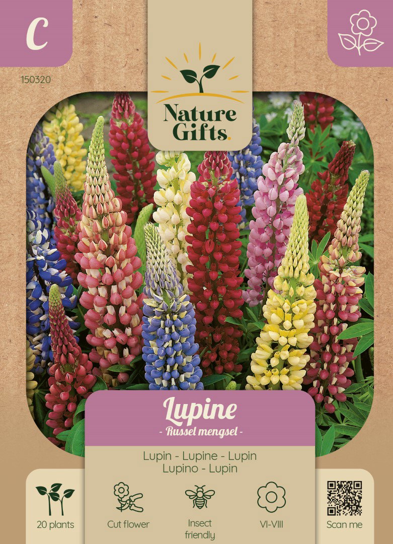 Lupine Russell mengsel bloemenzaad Nature Gifts Baltus - Baltus