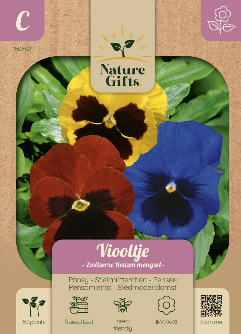 Viooltje Zwitserse Reuzen mengsel bloemenzaad Nature Gifts Baltus - Baltus