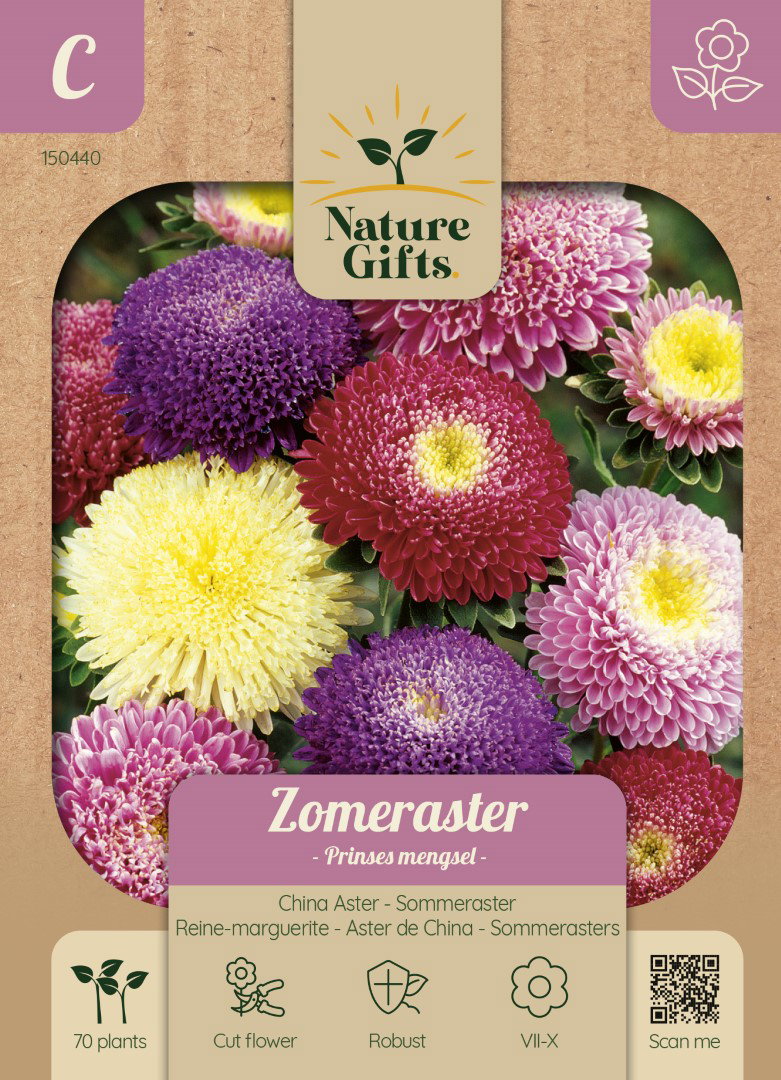 Zomeraster Prinses mengsel bloemenzaad Nature Gifts Baltus - Baltus