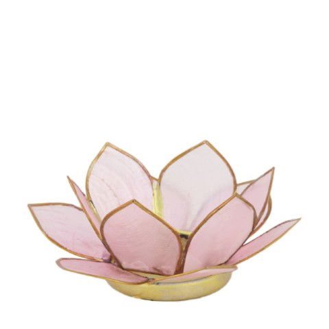 https://cdn.warentuin.nl/media/catalog/product/S/C/SCAN8720006347764_dijk_candle_holders_tealight_holder_capiz_nature_diameter_12__5372.jpg