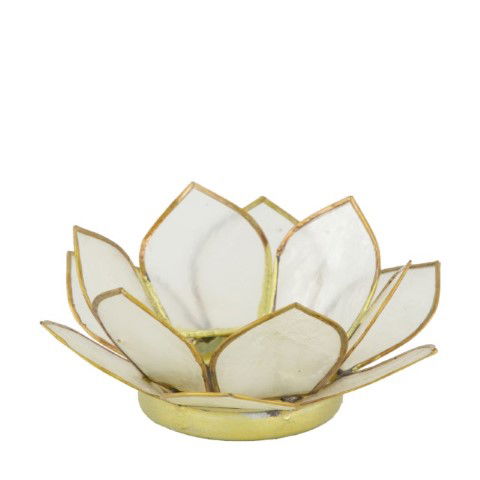 https://cdn.warentuin.nl/media/catalog/product/S/C/SCAN8720006347771_dijk_candle_holders_tealight_holder_capiz_nature_diameter_12__dd54.jpg