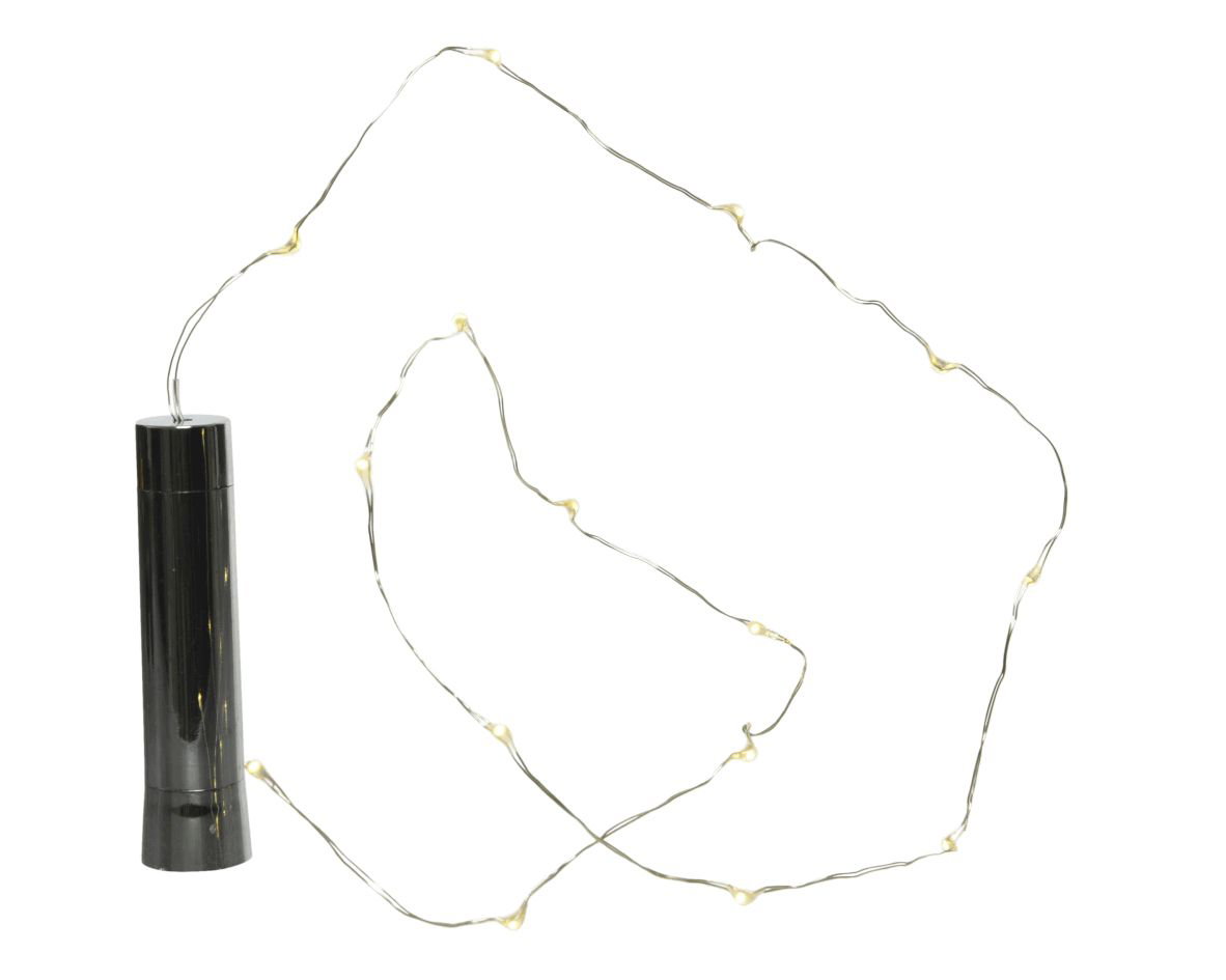 https://cdn.warentuin.nl/media/catalog/product/S/C/SCAN8720093086096_lumineo_kerstverlichting_micro_led_flesverl__bo_l2h9_cm_15l_w_e44e.jpg