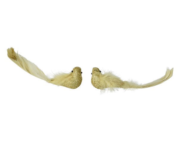 Vogel foam l4b15h5 cm lichtgoud a2 2st - Decoris