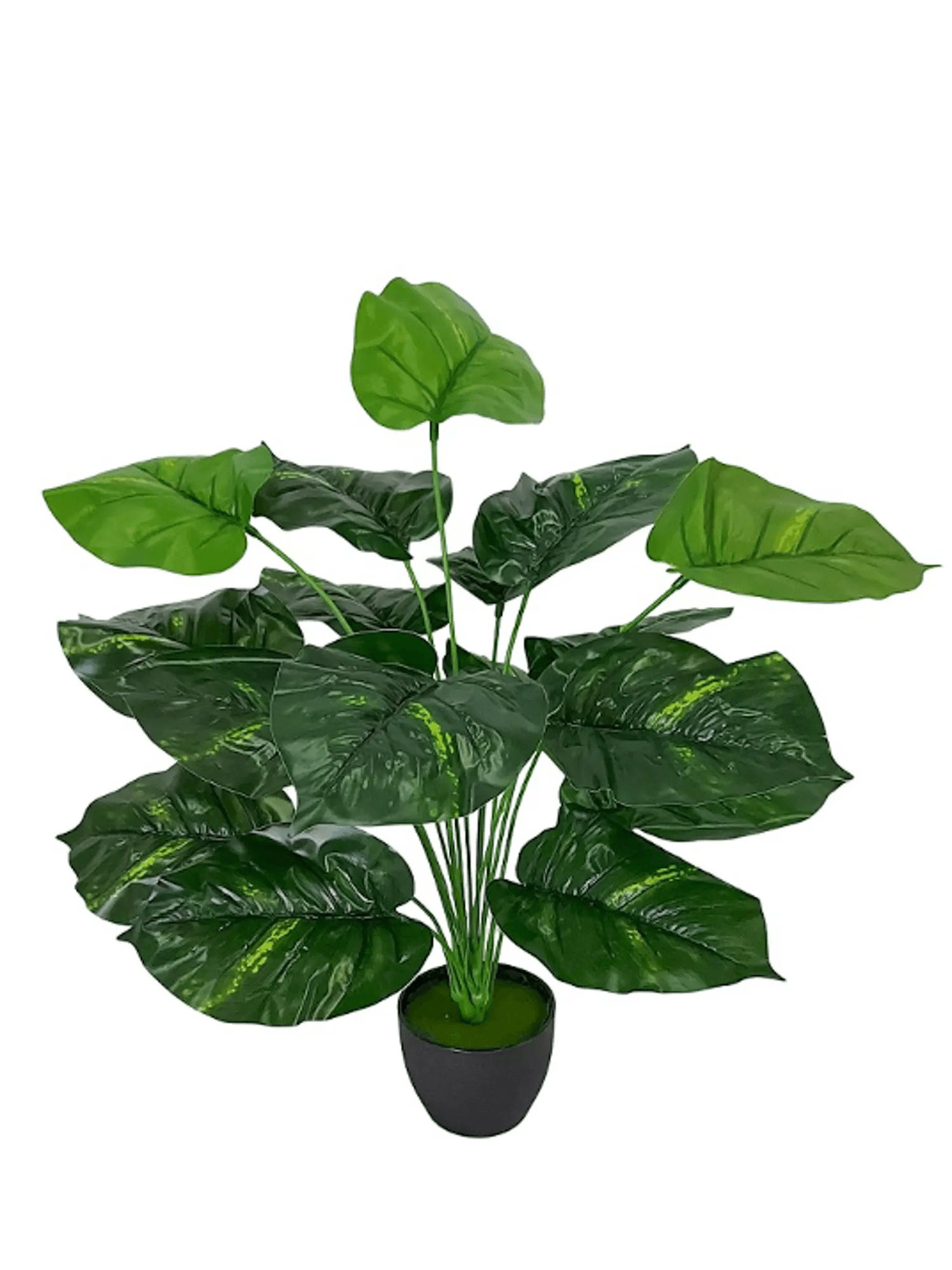 https://cdn.warentuin.nl/media/catalog/product/S/C/SCAN8720194522097_alocasia_polyester_l32b32h40_cm_grn_kunstbloem_zijde_nepbloem_0af1.jpg