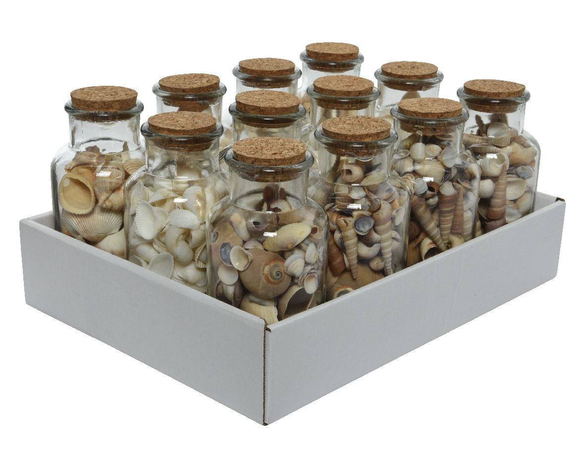 https://cdn.warentuin.nl/media/catalog/product/S/C/SCAN8720194571347_01_fles_schelp_d8h16_cm_naturel_a3_decoris_f9b3.jpg