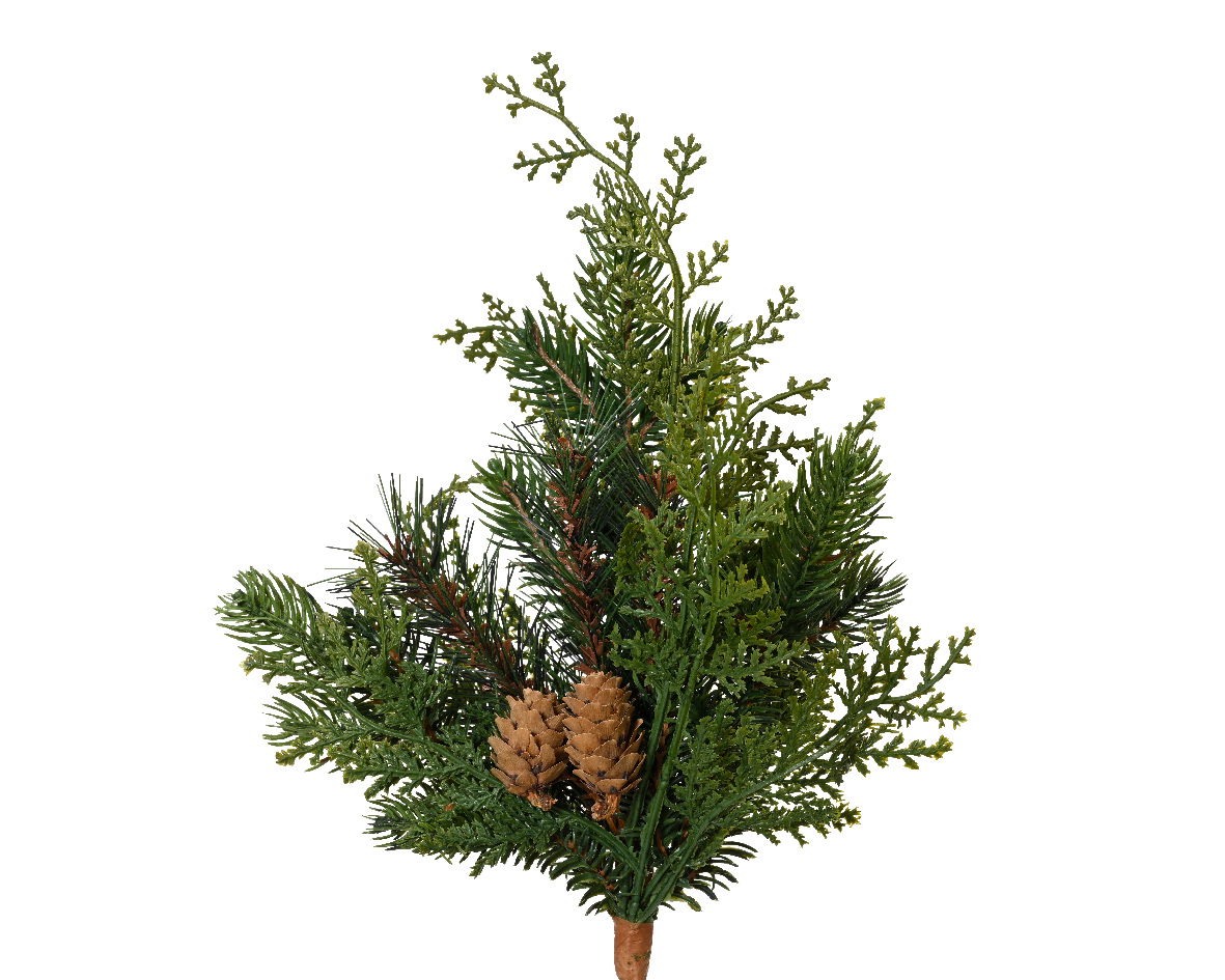 Cypress tak b13h25 cm groen - Everlands