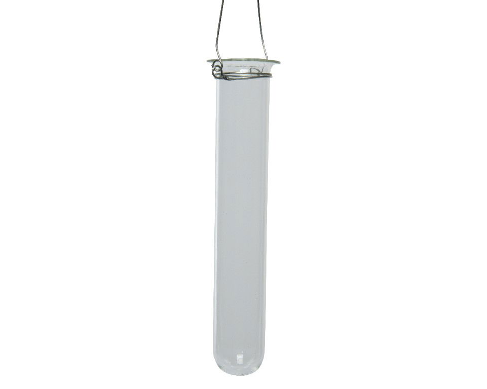 https://cdn.warentuin.nl/media/catalog/product/S/C/SCAN8720194611449_kaemingk_glas_koker_glas_dia2_5_h12cm_clear_kaemingk_e213.jpg