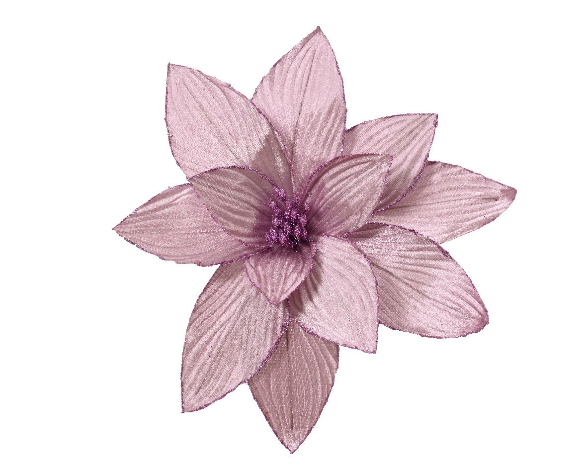 Poinsettia pesfluweel d30h15 cm lila - Everlands