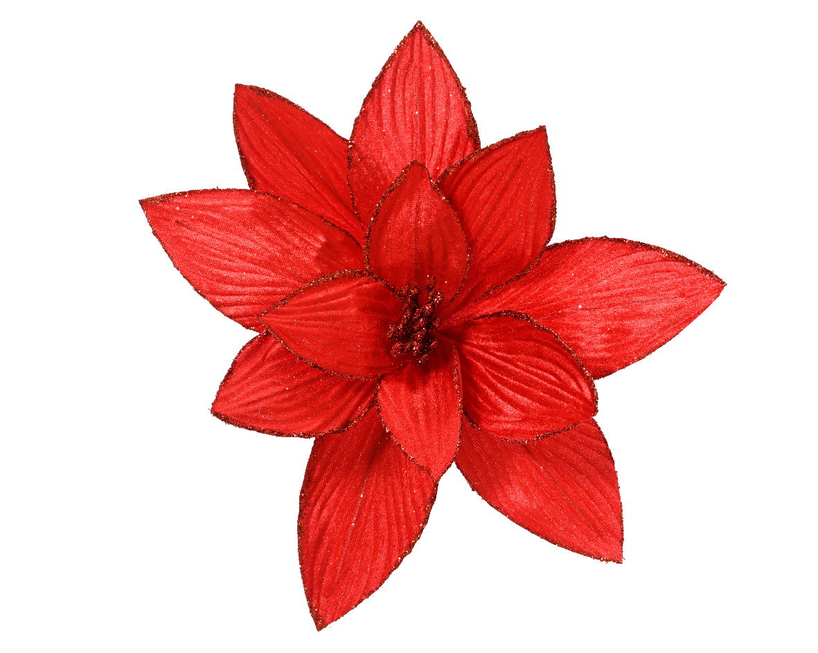 Poinsettia pesfluweel d30h15 cm rood - Everlands