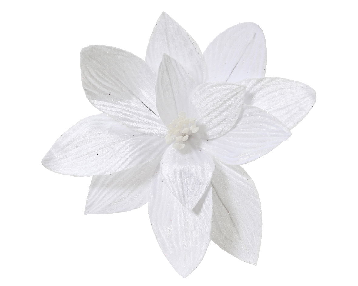 Poinsettia pesfluweel d30h15 cm wit - Everlands