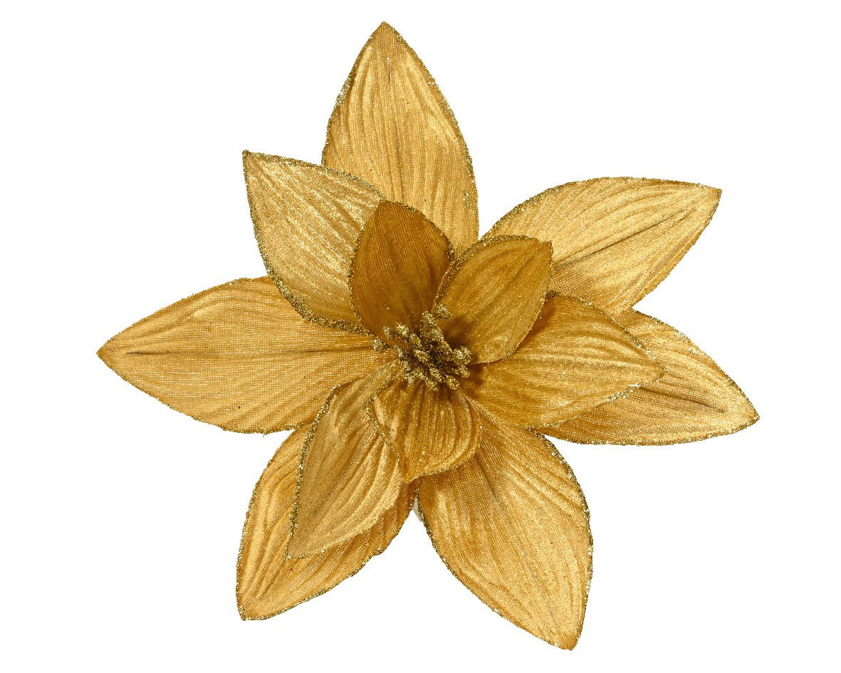 Poinsettia pesfluweel d30h15 cm goud - Everlands