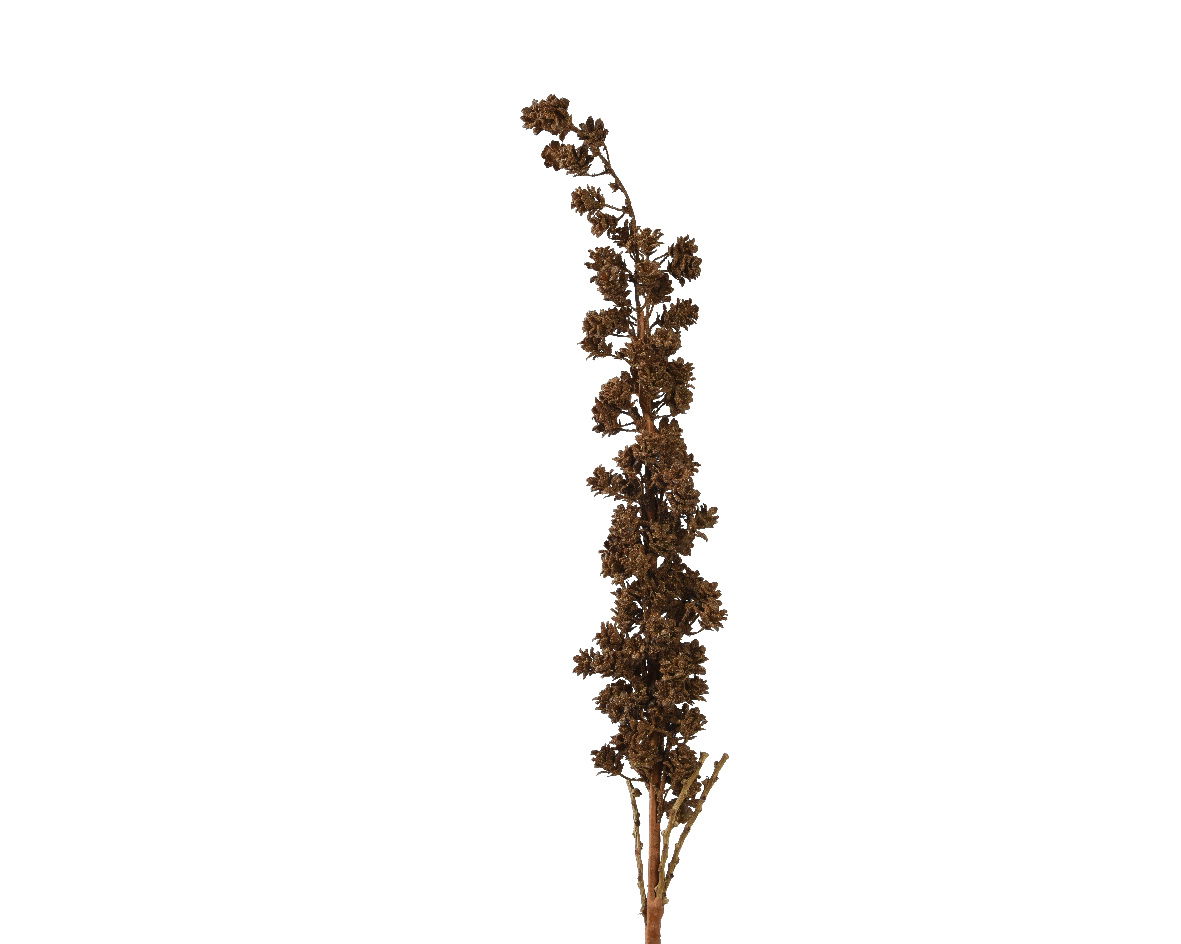 Spray plastic l11.5b6h115 cm bruin - Everlands