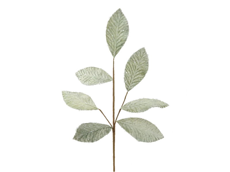 Spray plc b20h68 cm groen - Hortus
