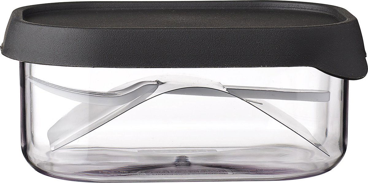 https://cdn.warentuin.nl/media/catalog/product/S/C/SCAN8720294023081_fruitbox_take_a_break_250_ml_nordic_black_mepal_6f81.jpg