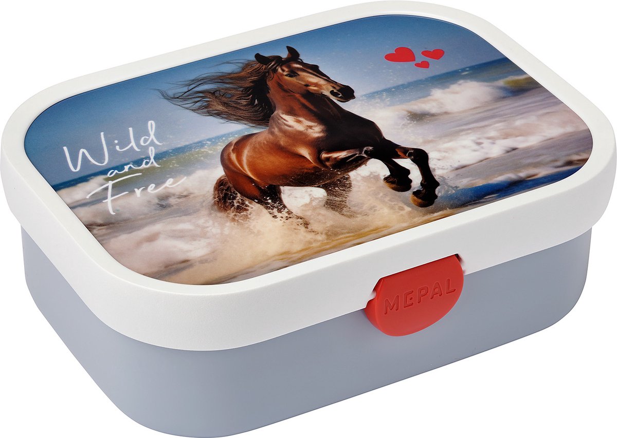 https://cdn.warentuin.nl/media/catalog/product/S/C/SCAN8720294038429_lunchbox_campus_wild_horse_mepal_7410.jpg