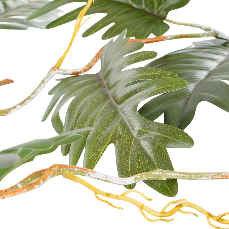 https://cdn.warentuin.nl/media/catalog/product/S/C/SCAN8720362056171_philodendrn_selloum_l115_x_b37_x_h9_cm_groen_mica_decorations_cfe4.jpg