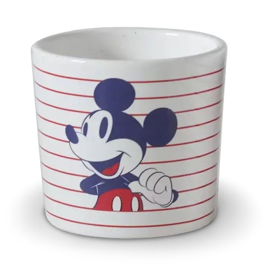 https://cdn.warentuin.nl/media/catalog/product/S/C/SCAN8720634042864_01_bloempot_mickey_3_dia_105x11_cm_disney_1f51.jpg