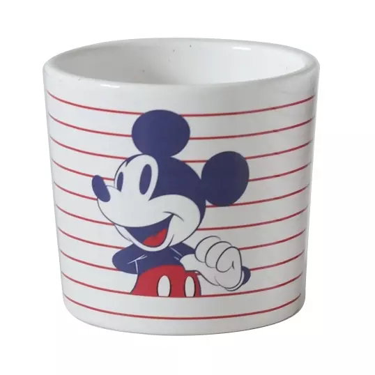 https://cdn.warentuin.nl/media/catalog/product/S/C/SCAN8720634042864_hd_collection_bloempot_disney_bloempot_mickey_3_dia_10_5x11_c_bd56.jpg