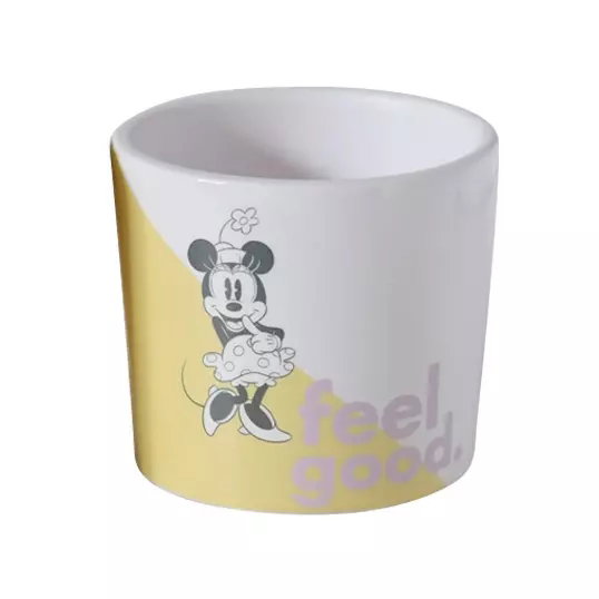 https://cdn.warentuin.nl/media/catalog/product/S/C/SCAN8720634042918_hd_collection_bloempot_disney_bloempot_minnie_2_dia_8x7_5_cm_fda4.jpg