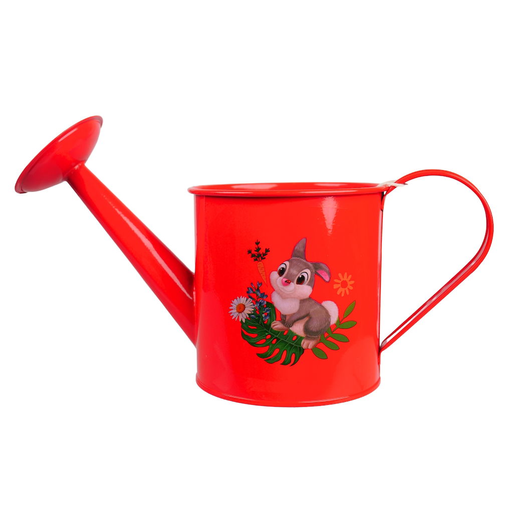 https://cdn.warentuin.nl/media/catalog/product/S/C/SCAN8720634044684_disney_gieter_gieter_classics_7076.jpg