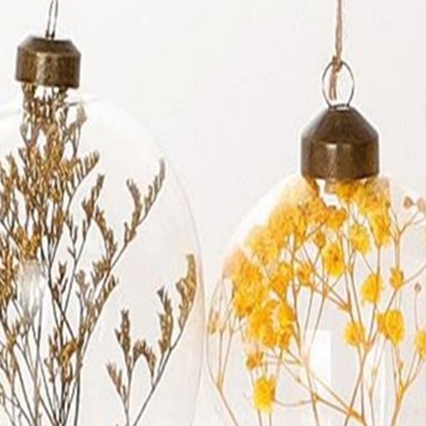 https://cdn.warentuin.nl/media/catalog/product/S/C/SCAN8720719134675_01_hbx_natural_living_hanger_hang_ei_droog_bloem_l6_5b5_0_gee_c8f9.jpg