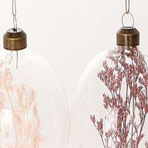 https://cdn.warentuin.nl/media/catalog/product/S/C/SCAN8720719134774_01_hbx_natural_living_hanger_hang_ei_droog_bloemen_l8b6_cm_ro_c2a8.jpg